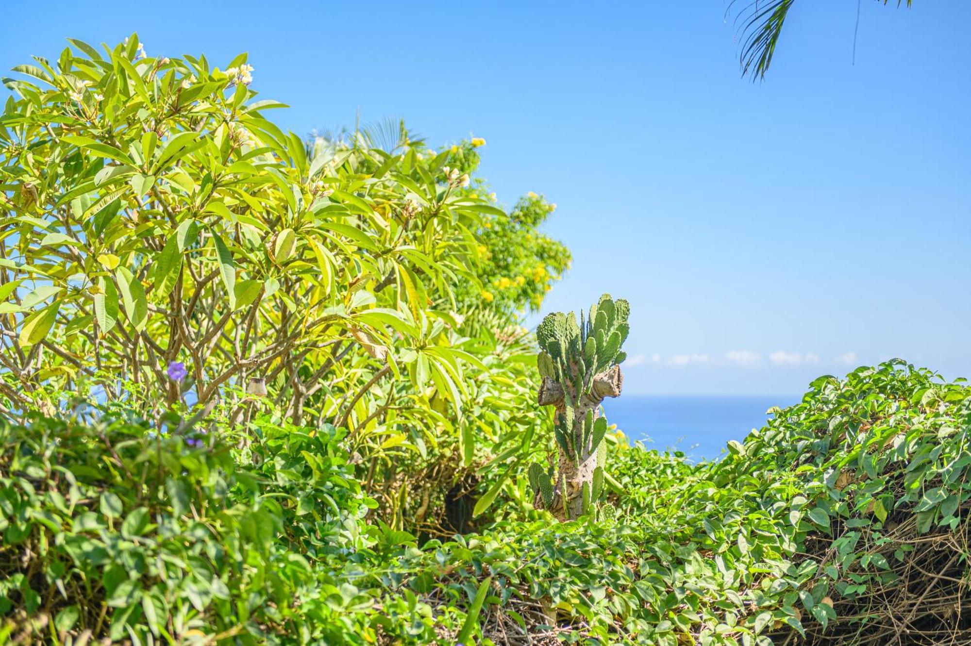 Le Jardin Des Tuit Tuit * Vue Mer * Cozy Сен-Лё Экстерьер фото